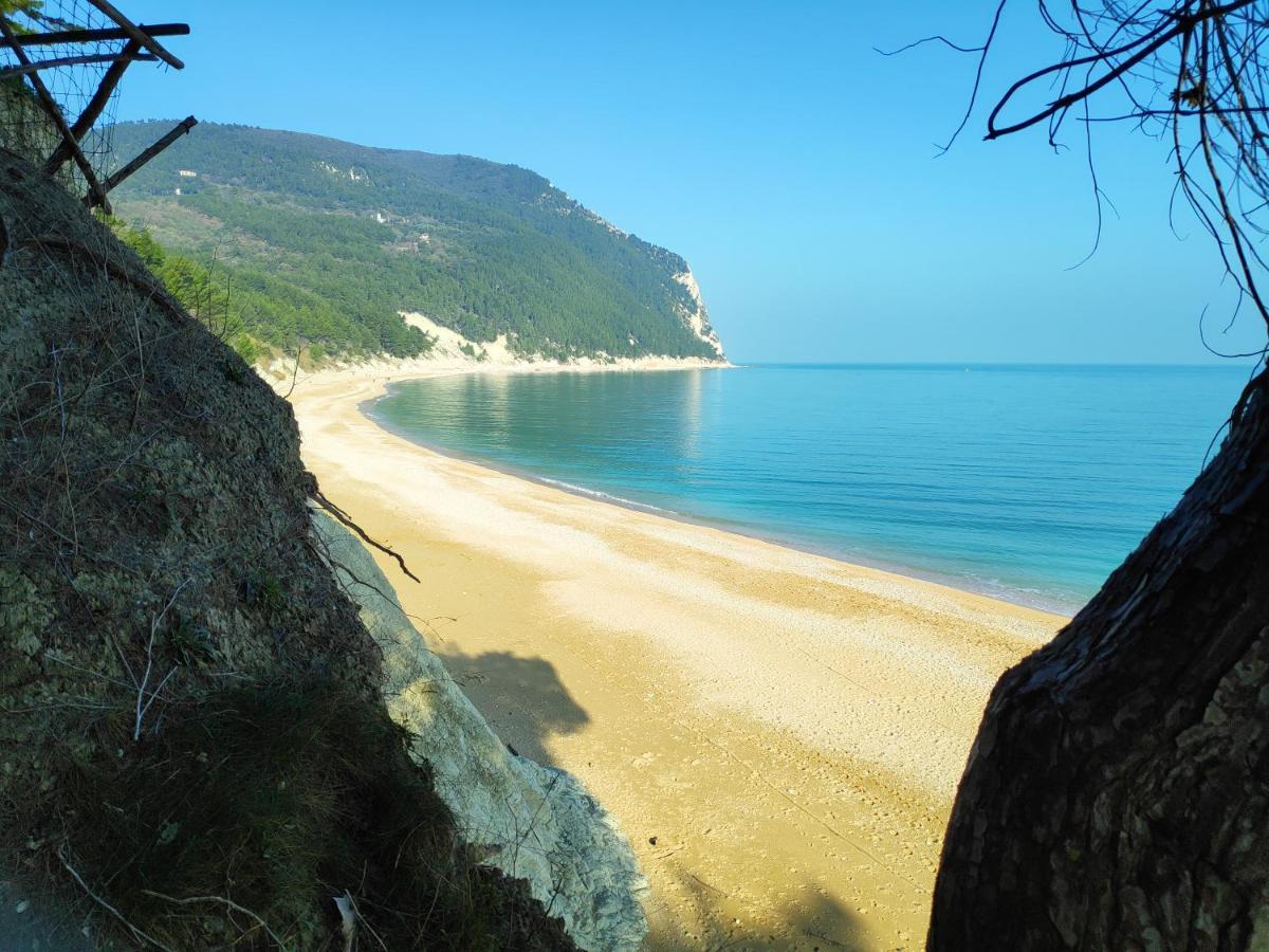 Appartamento L'Azalea - A Due Passi Da Numana Con Grande Terrazzo E Piscina Condominiale Stagionale Sirolo Dış mekan fotoğraf