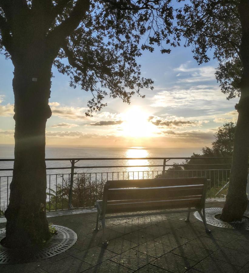 Appartamento L'Azalea - A Due Passi Da Numana Con Grande Terrazzo E Piscina Condominiale Stagionale Sirolo Dış mekan fotoğraf