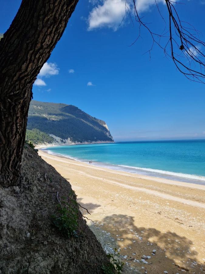 Appartamento L'Azalea - A Due Passi Da Numana Con Grande Terrazzo E Piscina Condominiale Stagionale Sirolo Dış mekan fotoğraf