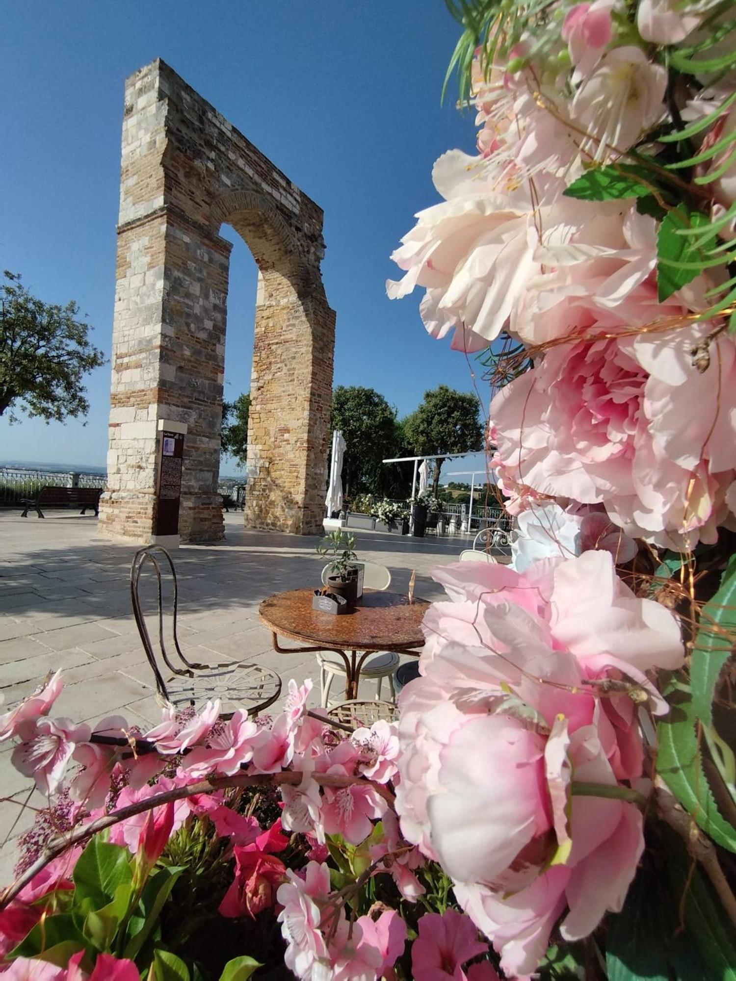 Appartamento L'Azalea - A Due Passi Da Numana Con Grande Terrazzo E Piscina Condominiale Stagionale Sirolo Dış mekan fotoğraf